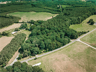 SD Statesville Shady Fork